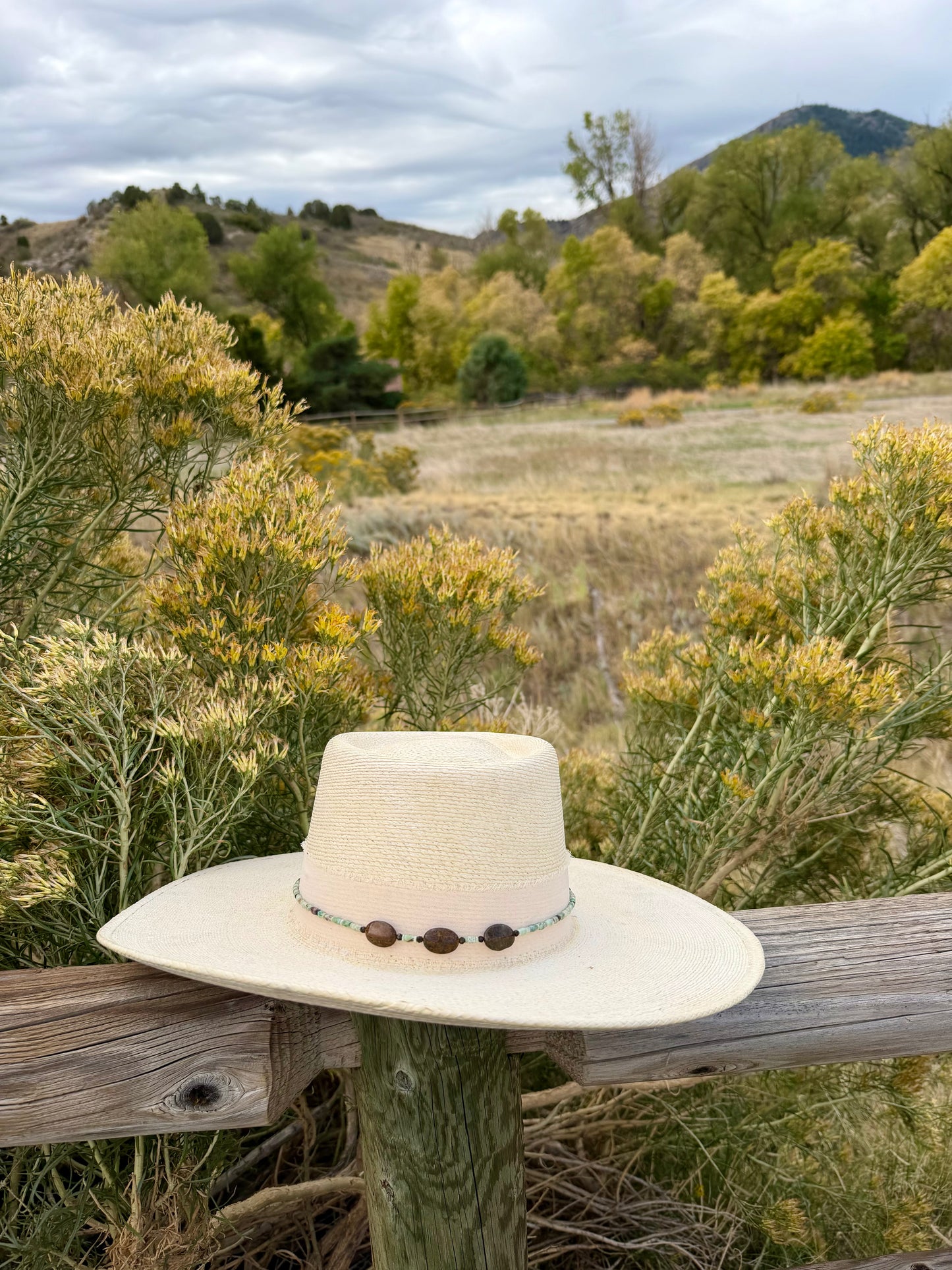 African Turquoise Jasper + Bronzite Hat Band